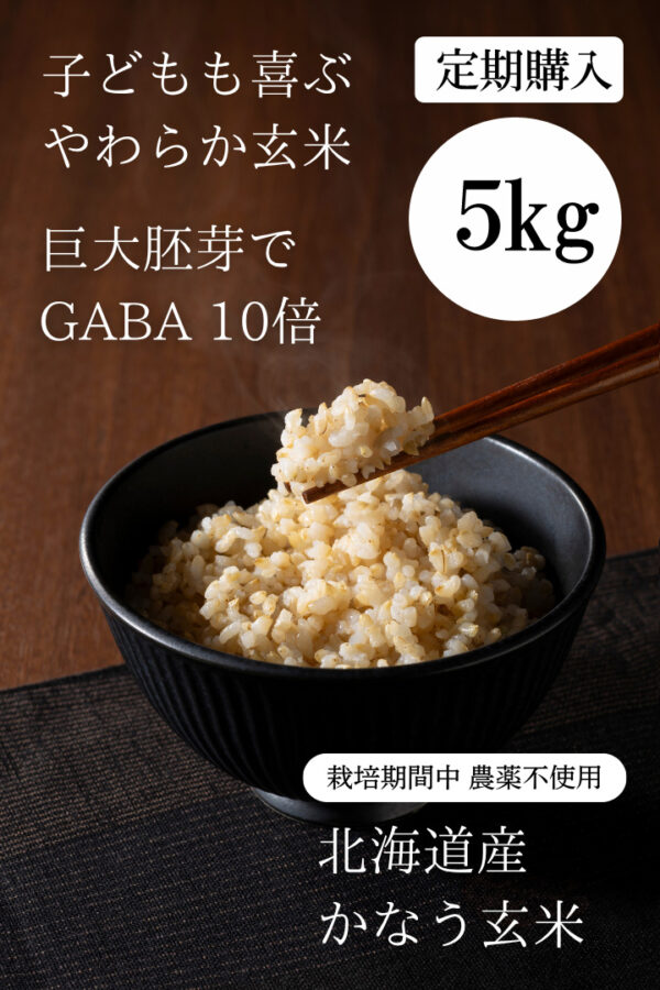 ◆定期購入／毎月配達◆令和6年産  北海道産 「かなう玄米」（新品種／きためぶき）玄米5kg 栽培期間農薬不使用　巨大胚芽米
