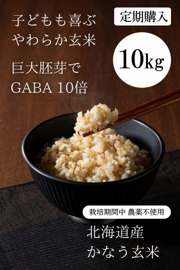 ◆定期購入／毎月配達◆令和6年産  北海道産 「かなう玄米」（新品種／きためぶき）玄米10kg 栽培期間農薬不使用　巨大胚芽米