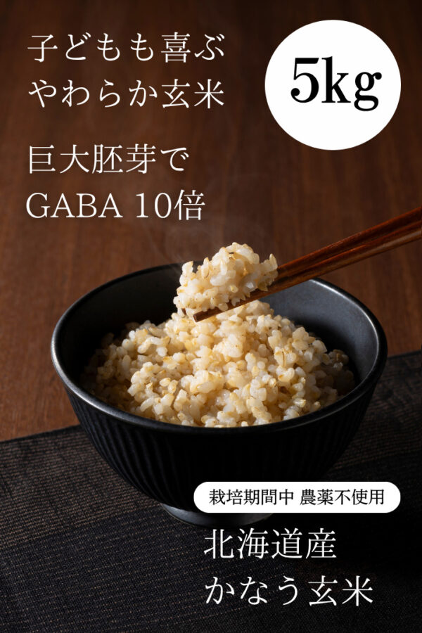 ◆翌営業日発送◆令和6年産  北海道産 「かなう玄米」（新品種／きためぶき）玄米5kg 栽培期間農薬不使用　巨大胚芽米